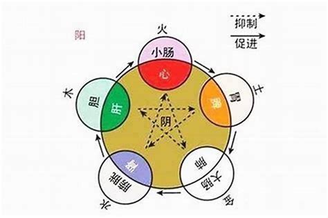 火属性职业|八字五行属火是什么意思 五行属火的行业有哪些